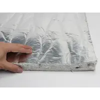 Звукоізоляція для приміщень, ламінована фольгованою склотканиною ФСВ-25-50х100, (50х100см) товщина 25мм