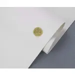 Біеластик (білий матовий) для перетяжки автомобільного салону Мініатюра 1