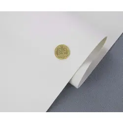 Біеластик тягучий білий матовий Elista-09 для перетяжки дверних карт, стійок, airbag та вставок, ширина 145 cм