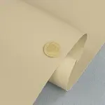 Термовініл HORN бежевий A09-2 для обтягування торпеди Мініатюра 1