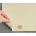 Термовініл HORN кремовий С04 для обтягування торпеди Мініатюра 3