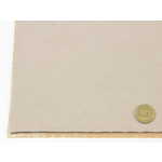 Автовелюр Micro TPS-16811 бежевий (з теплим відтінком), лист 56х100см – самоклейка на поролоні та сітці Мініатюра 2