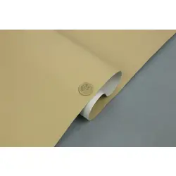 Автомобільний шкірозамінник, колір яскраво-бежевий 9006-MT, на тканинній основі, ширина 150см