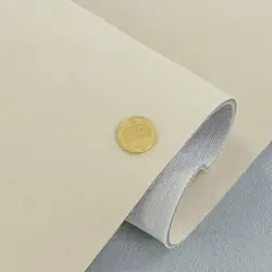 Автовелюр стельовий Micro S21, колір світло-бежевий на поролоні, товщина 3мм ширина 170см, Туреччина