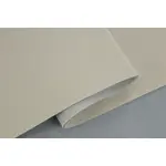 Cтельова автотканина Lacost D54 кремова - 1,7 м ширина Мініатюра 1