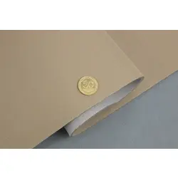 Високоякісна стельова автотканина (Туреччина, бежева D41-16753), на поролоні і сітці, тягуча, ширина 170см