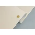 Cтельова автотканина Zeus 151 бежева - 1,7 м ширина Мініатюра 3