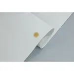 Cтельова автотканина Zeus 152 срібна - 1,7 м ширина Мініатюра 3