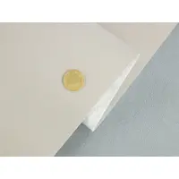 Автотканина стельова RASHAEL R26, колір світло-кремовий на поролоні та повсті, товщина 2мм, ширина 168см, Туреччина